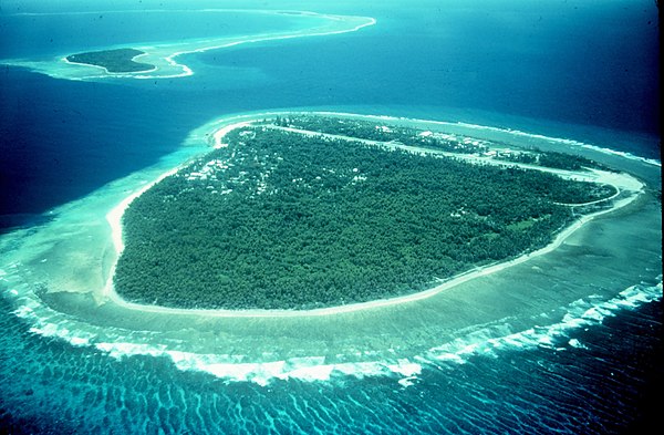 Island with fringing reef off Yap, Micronesia. Coral reefs are dying around the world.[133]