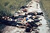 My Lai massacre.jpg