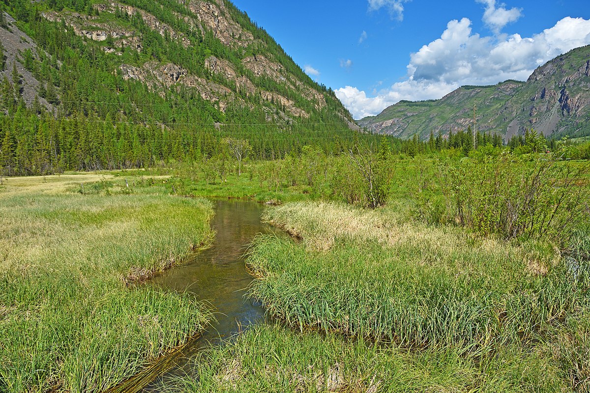 Форт куюм горный алтай фото