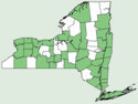 Myosotis laxa NY-dist-map.png