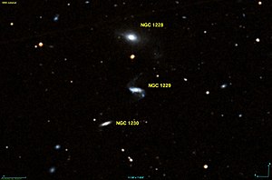 NGC 1229 DSS.jpg