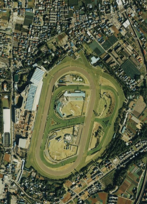 Nakayama Racecourse in 1989
