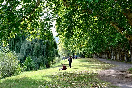 Neckarinsel tuebingen