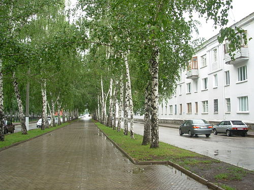 Улица башкортостана. Салават город. Улицы города Салават. Г Салават проспект Нефтяников. Салават центр города.