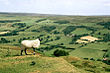 Die North York Moors