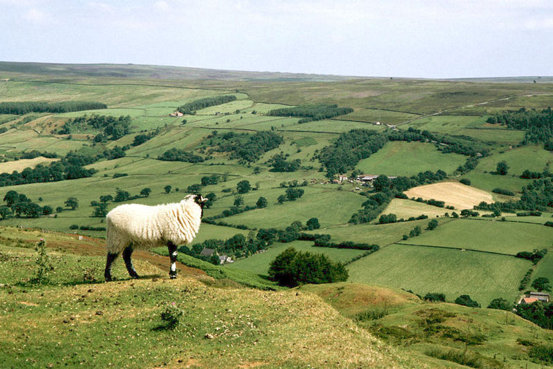 File:North York Moors.jpg