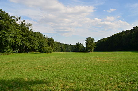 Oberhöchstadt, NSG Waldwiesental