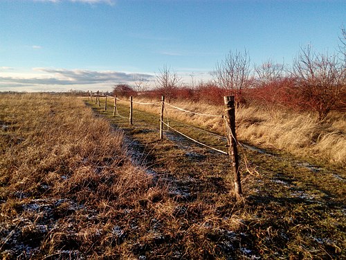 Pasture electric fence in Prague – Řepy, Czech Republic