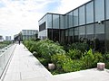 Orchard Central Rooftop Garden 2010.jpg