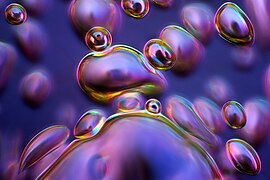 bubbles in plastic