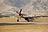 P-51D Mustang Warbirds 2008.jpg