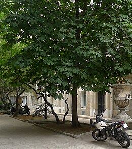 Illustrasjonsbilde av artikkelen Square Théodore-Judlin