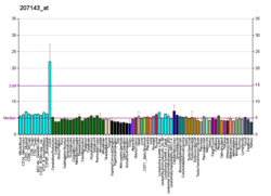 PBB GE CDK6 207143 at fs.png