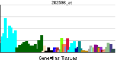 PBB GE ENSA 202596 ĉe tn.png