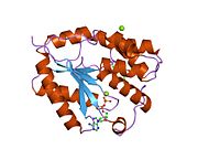 PDB 1e9d EBI.jpg