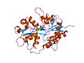 Minijatura za Jonotropni glutamatni receptor