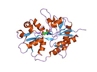 <span class="mw-page-title-main">Ionotropic glutamate receptor</span> Ligand-gated ion channels