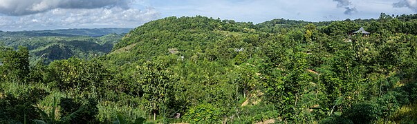 Pemandangan Kebun Mangunan dari jalan menuju ke sana.