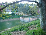 ]] (Vallès Occidental, Baix Llobregat, Barcelonès) (Sant Cugat del Vallès, Barcelona, Cerdanyola del Vallès i altres). This is a a photo of a natural area in Catalonia, Spain, with id: ES510066 Object location 41° 26′ 24″ N, 2° 06′ 36″ E  View all coordinates using: OpenStreetMap