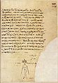 Eines der Papierblätter mit der Abschrift des verloren gegangenen Textes über die Mandragora