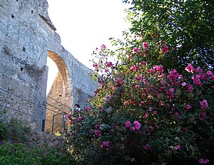 Parco Archeologico della Neapolis - Siracusa.jpg