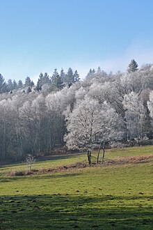 Paesaggio invernale vicino Vaulry.