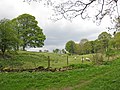 Thumbnail for File:Peaceful pastures - geograph.org.uk - 2369081.jpg