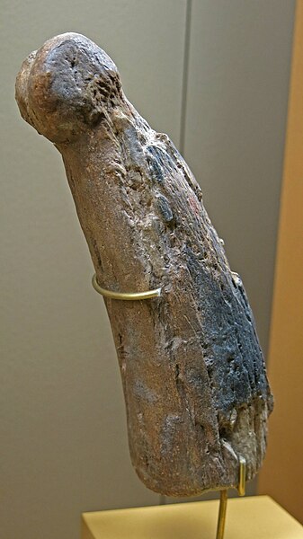 ファイル:Phallic object from Dordogne.jpg