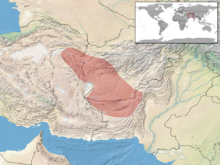 Phrynocephalus ornatus distribution.png