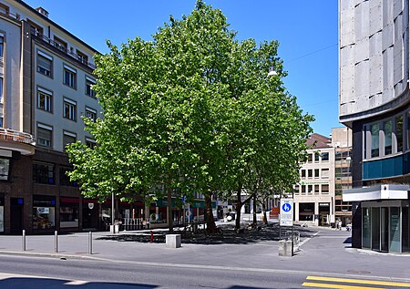 Place Pépinet