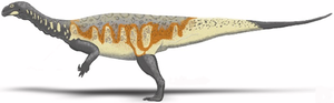 Plateosaurus engelhardti.png