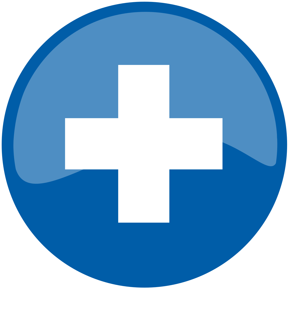 Download Fil:Plus blue.svg - Wikipedia