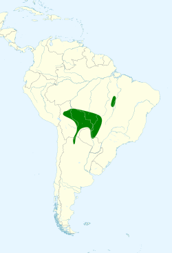 Distribución del Primolius auricollis