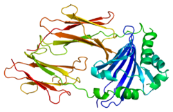 Белок HLA-DMA PDB 1hdm.png