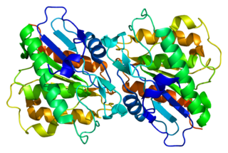 LYPLA1 Protein-coding gene in the species Homo sapiens