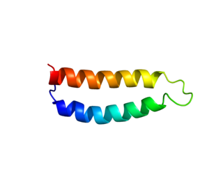 RALBP1 protein-coding gene in the species Homo sapiens