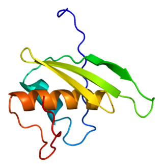 <span class="mw-page-title-main">STRBP</span> Protein-coding gene in Homo sapiens