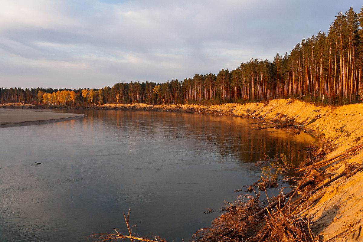 кожевниково томской области фото