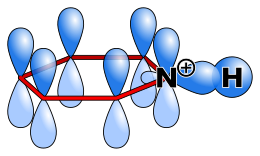 Atomic orbitals in protonated pyridine