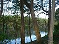 El Parque La Isleta y el río La Vieja.