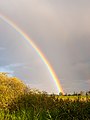 Rainbow, Sundische Wiesen, Zingst (P1090153).jpg