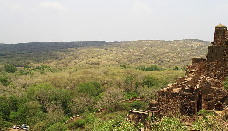 File:Ranthambore vantage.jpg