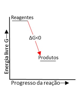 Ficheiro:Reação Exergônica.tif