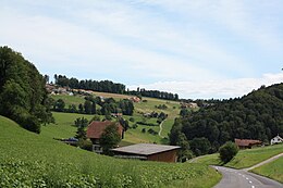 Wiliberg - Vedere