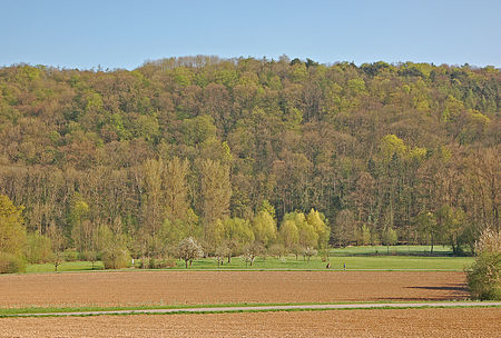 Remmingen Bannwald Schlössle 1360W