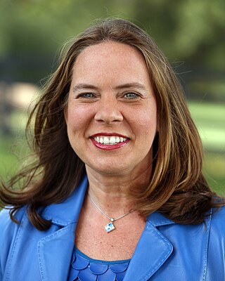 <span class="mw-page-title-main">Suzanne Miles</span> American politician