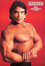 Gambar mini seharga Ricky Steamboat