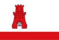 De vlag van Rijnsburg