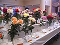 Trophy winners at a local rose show