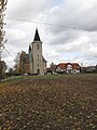 English: Roszowicki Las. Kędzierzyn-Koźle County, Poland.